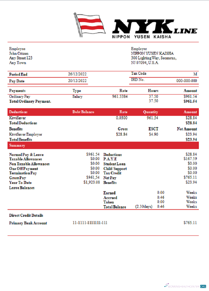 Download USA NIPPON YUSEN KAISHA shipping company pay stub Photoshop template